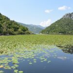 skadar-lake-469973_640