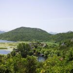 skadar like