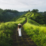 Young beautiful woman walking on Campuhan Ridge way of artists, in Bali, Ubud. Beautiful calm sunny morning