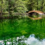 Vrelo-Bosne-AA-1024x576