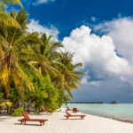 Tropical beach in Maldives with palm trees and vibrant inviting lagoon