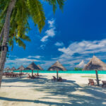 Beach chairs under umrellas and palm trees on a tropical beach, Maldives
